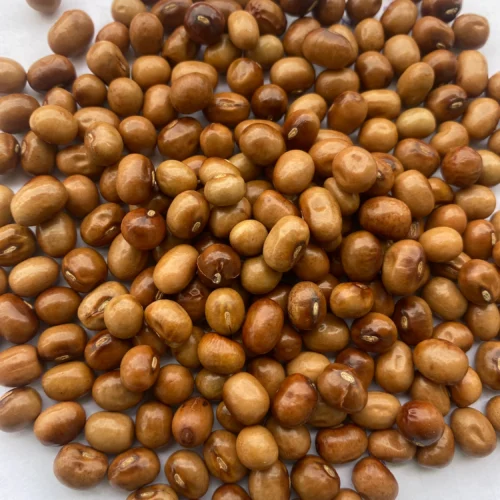 African yam bean
