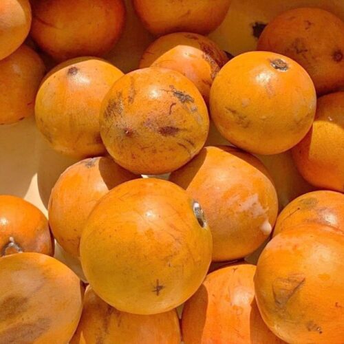 Agbalumo
