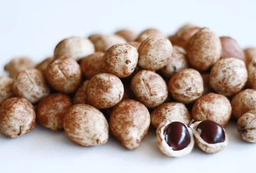 Bambara nut