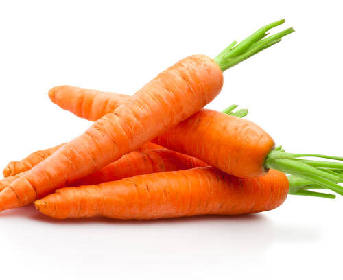 Carrot