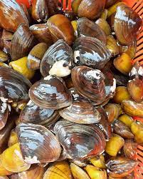Clams