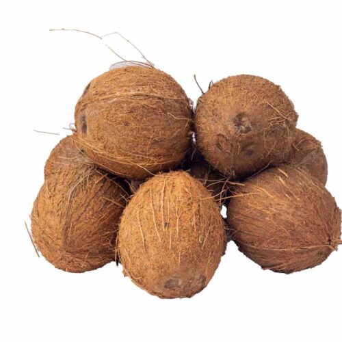 Coconut