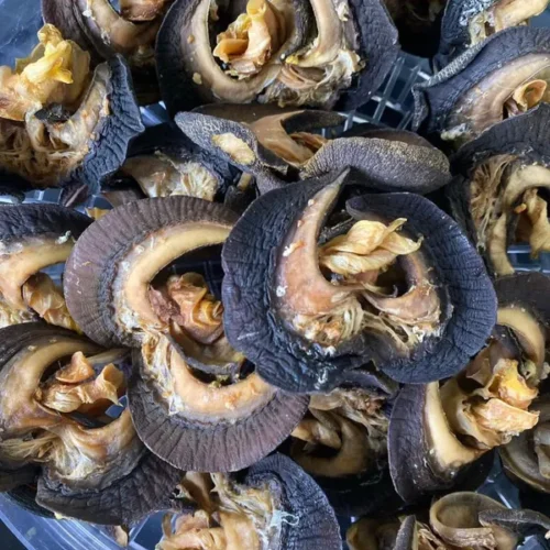 Dried snails