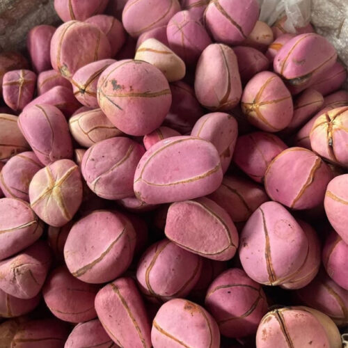 Kolanut