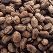 Nutmeg