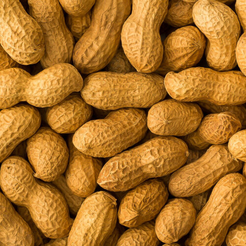 Raw groundnut