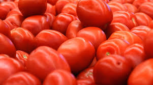 Tomato